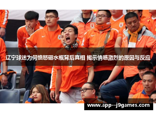 辽宁球迷为何愤怒砸水瓶背后真相 揭示情感激烈的原因与反应